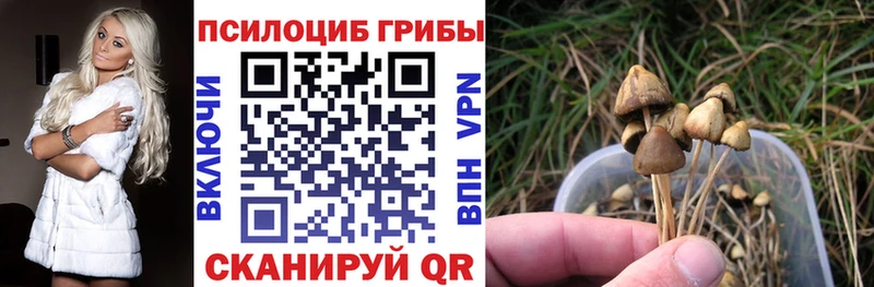 shop состав  Енисейск  Псилоцибиновые грибы прущие грибы 