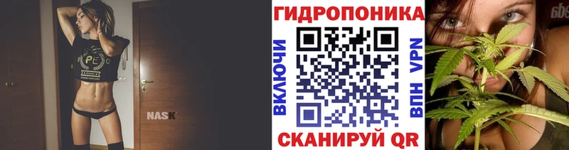 Бошки марихуана семена  где купить   Енисейск 